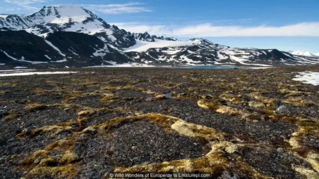 permafrostsite de análise futebol virtual freeSvalbard