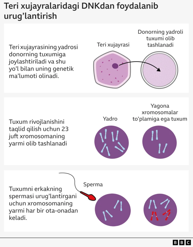 Kurteni Koks yalangoch