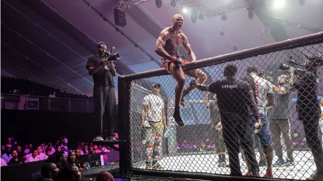 Wani dan kowa a saman shingen karawa