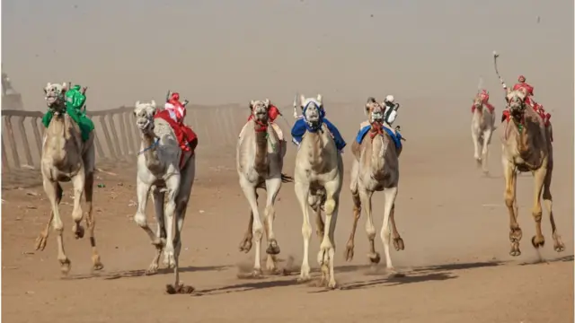 Seven camels racing through the sand.