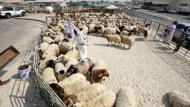 د حج مراسم ٢٠١٧