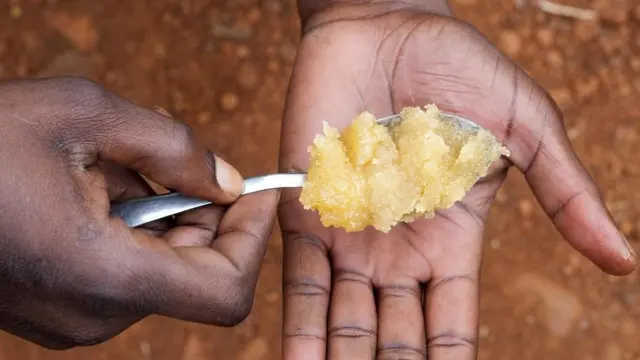 मधुमक्खी, शहद पालन, दक्षिण अफ़्रीक़ा