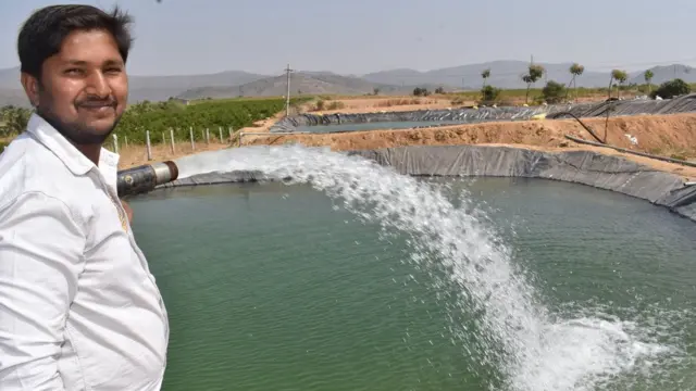 నీటి కుంటలు