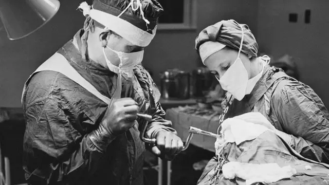 డెన్మార్క్‌లో 10 వేల బ్రెయిన్లు నిల్వ