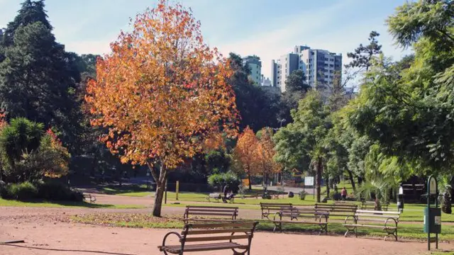 Parquebanca de aposta futebolCaxias do Sul, RS