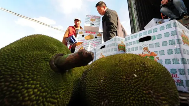 รัฐบาลไทยคาดว่าจะสามารถส่งออกผลไม้เช่น ทุเรียน ไปยังจีนได้มากขึ้นจากความร่วมมือนี้