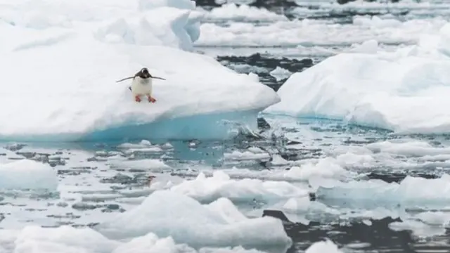 القارة القطبية الجنوبية "أنتركتيكا"