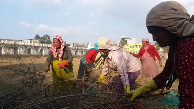 रानीपोखरी