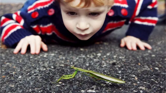 Хлопчик і комаха