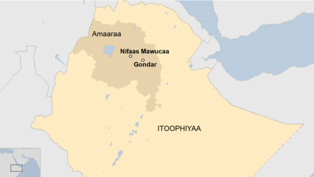 Kaartaa Gondar - Nifaas Mawucaa