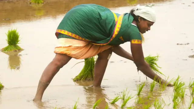வேளாண் நிதிநிலை அறிக்கை