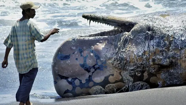 (Photo credit should read Tarko SUDIARNO/AFP/Getty Images)