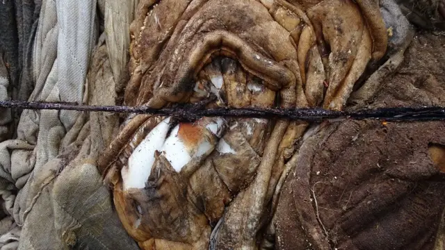 பிரிட்டனிலிருந்து இலங்கையில் சட்டவிரோதமாக குவிக்கப்படும் குப்பைகள்