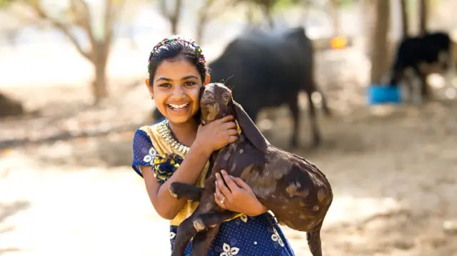 ਪਾਲਤੂ ਜਾਨਵਰ