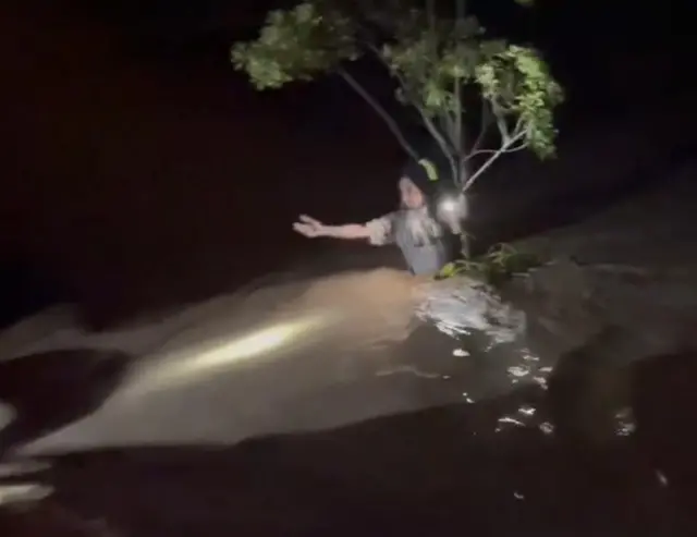 ਹੜ੍ਹ ਪੰਜਾਬ