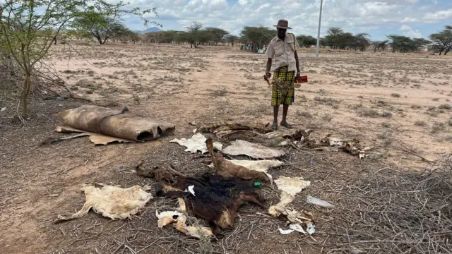 కెన్యా జింజర్ బ్రెడ్, కరువు, ఆహార కరువు