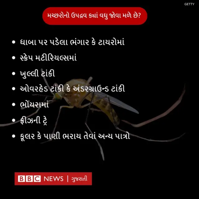 મચ્છર, રોગચાળો