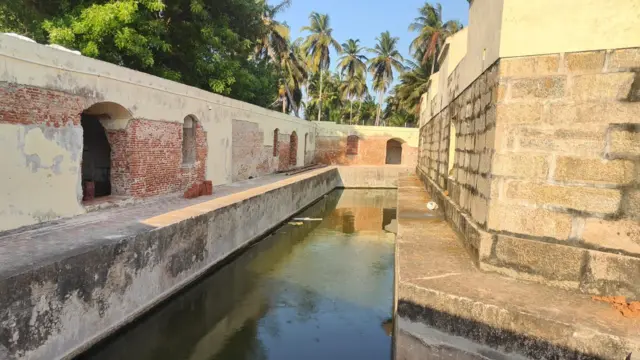 பிரான்ஸ் மன்னர் நெப்போலியன், பிரிட்டிஷ், ஐரோப்பா, வரலாறு, பிரிட்டிஷ் கிழக்கிந்தியக் கம்பனி
