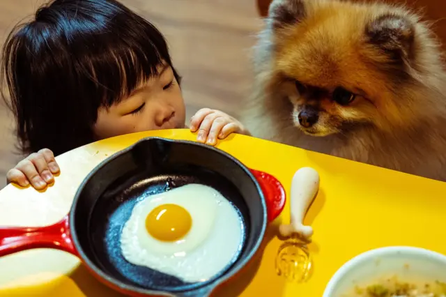 Una niña pequeña se agarra a la superficie de una mesa amarilla, mientras un perro pequeño observa. La mesa tiene una sartén con un huevo dentro.