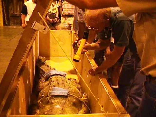 Expertos del acuario de Dallas revisan a Juancho