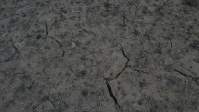 संविधानले नै दलित भूमिहीनलाई जग्गा दिने वाचा गरेको छ 