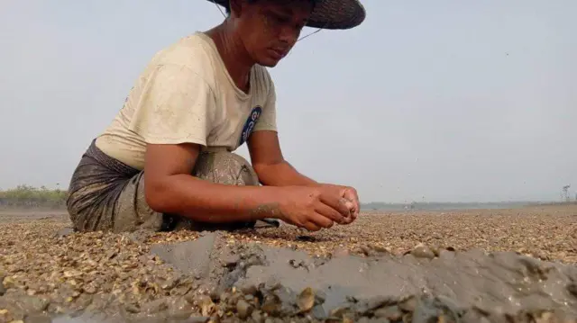 အမ်းမြို့နယ် နယ်စပ်က ကျားအိုချောင်းအတွင်းမှာ ခုံးကောင် ရေအများအပြားသေဆုံးနေတာတွေ့ရတယ်