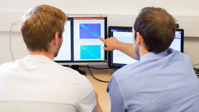 اسکلت خارجی