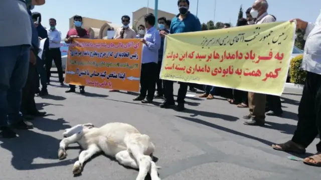 تجمع دامداران