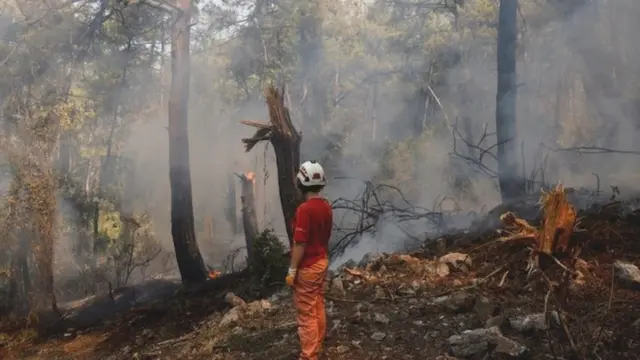 Voluntário observa incêndiojogos que realmente dá dinheiro de verdadeMarmaris, Turquia