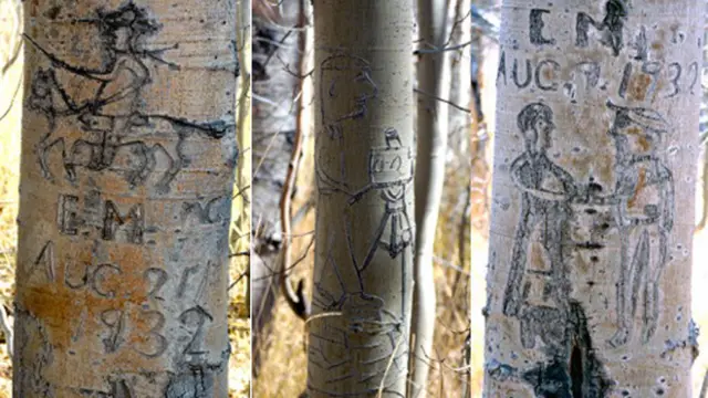 Nombres y símbolos vascos en álamos en EE.UU. (Foto: University of Nevada)