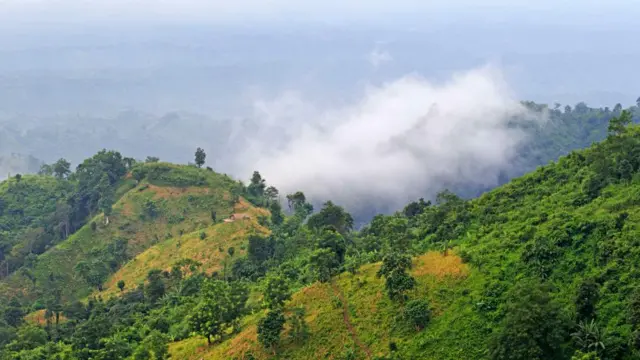 বান্দরবানের পাহাড় - জঙ্গল