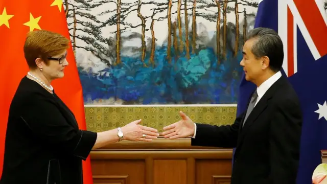 یانگ و پین
