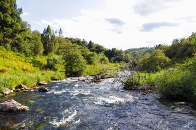 Сары-Челекти курчаган капчыгайлардан ондогон суулар куюлуп турат. 