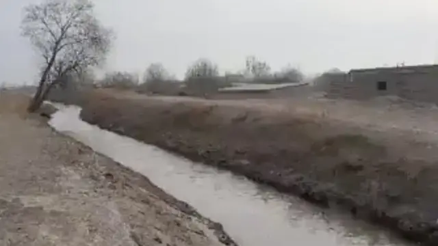 O'zbekiston