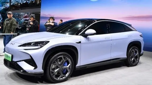 از مدل Sea Lion 07 به عنوان جدی‌ترین رقیب تسلا مدل Y یاد می‌شود