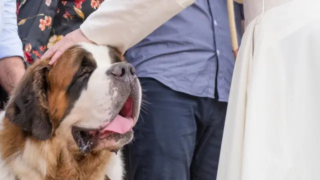 في الفاتكيان عام 2018