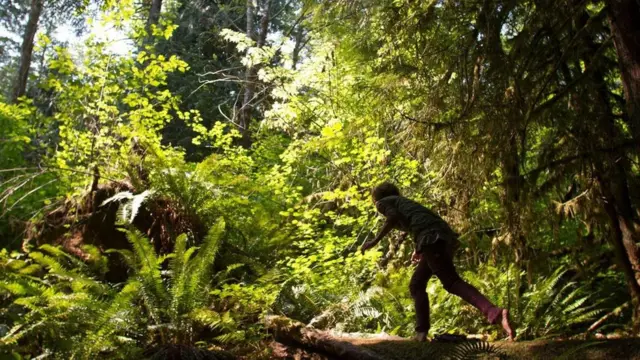 لماذا يؤدي المشي إلى تحسين صحتك وأدائك الوظيفي؟