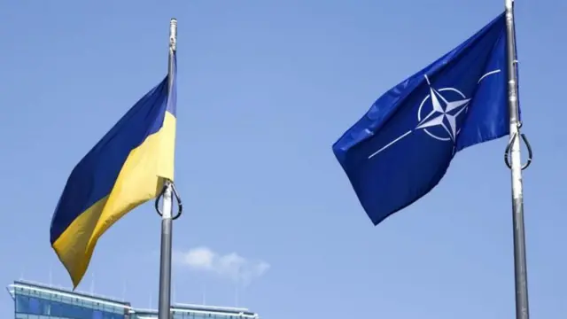 Зеленського просять не тиснути на НАТО щодо вступу України до альянсу ...