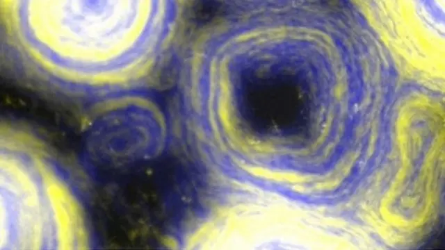 "Бактериальное творчество" M. xanthus