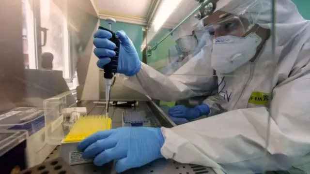 Fayrasyadu had iyo jeer way is beddelaan, iyagoo soo saara noocyo kala duwan ama noocyo cusub oo iyaga u gaar ah.