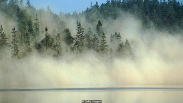 Những trận mưa axit huỷ hoại môi trường ở Mỹ, Canada - BBC News ...