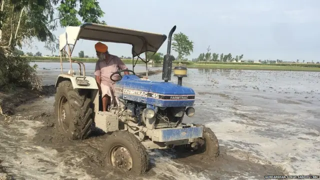 FEROZEPUR, FARMER, LABOR