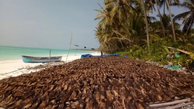 लक्षद्वीप वाद