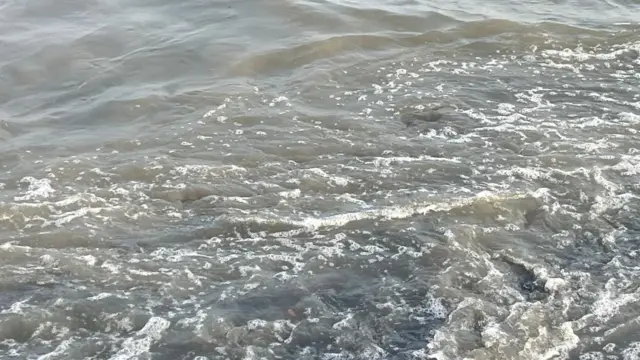 వ్యర్థ జలాలు కలిసే చోట లేత ఆకుపచ్చ రంగులోకి మారిన సముద్రం నీరు 