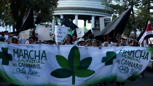 2019年4月，在哥斯達黎加，人們集會要求大麻合法化。