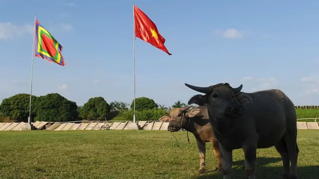 Việt Nam, Đảng Cộng sản