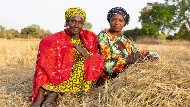 La enfermera Senneh era niña cuando empezó a cultivar arroz con sus padres en Sankandi, una pequeña aldea de unos 600 habitantes rica en manglares en Gambia.