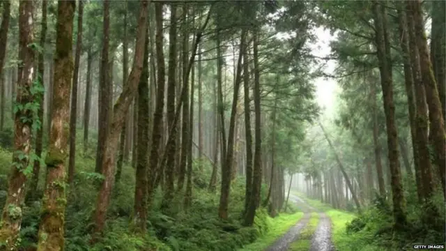 प्रकृति