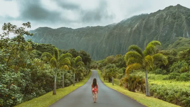 Мандри туризм гори