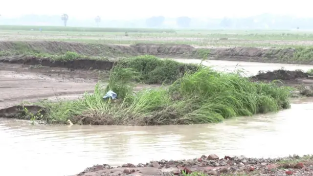 குண்டு மிளகாயின் நிலை என்ன?